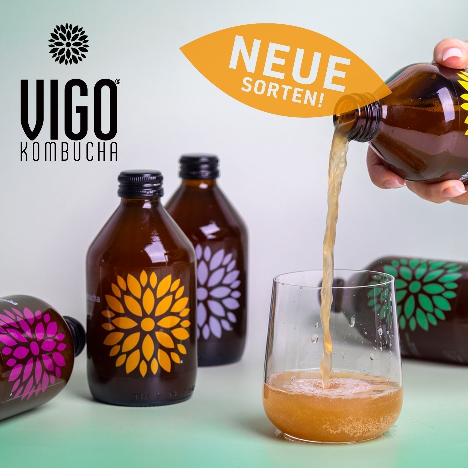 VIGO Longbrews NEU bei Fresh Drink