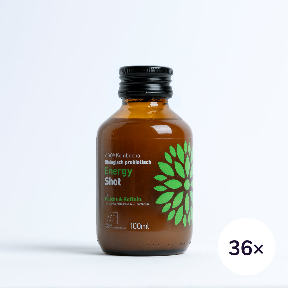 VIGO BIO Kombucha Shot Energie