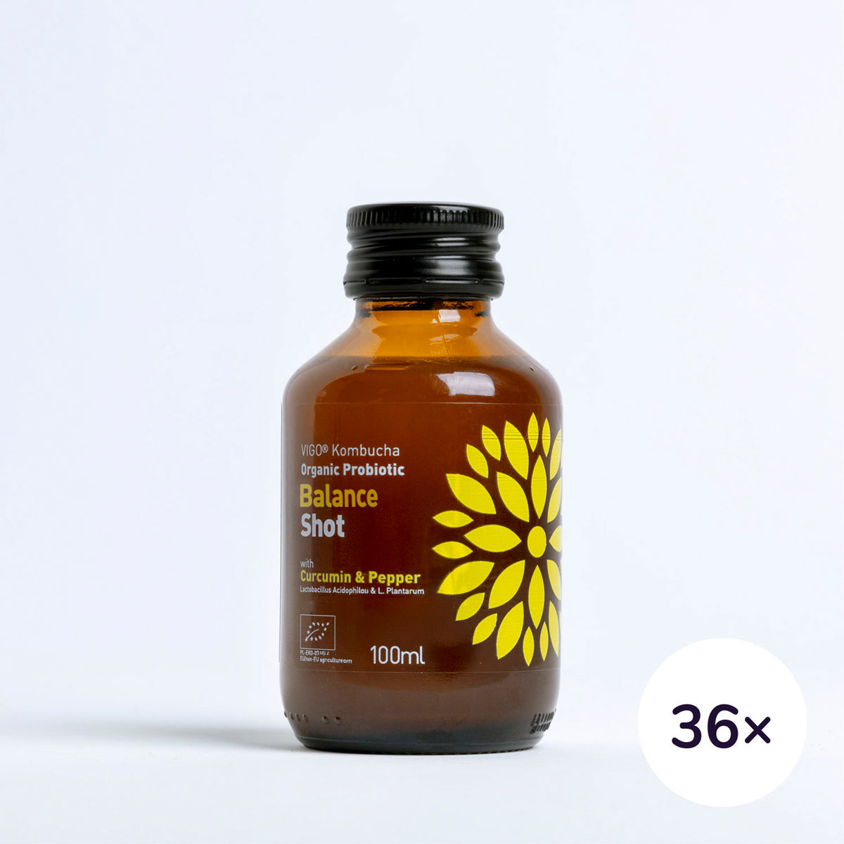 VIGO BIO Kombucha Shot Balance