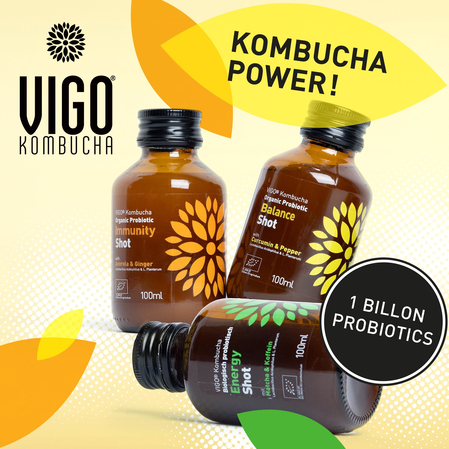 JETZT NEU! VIGO BIO Kombucha Shots