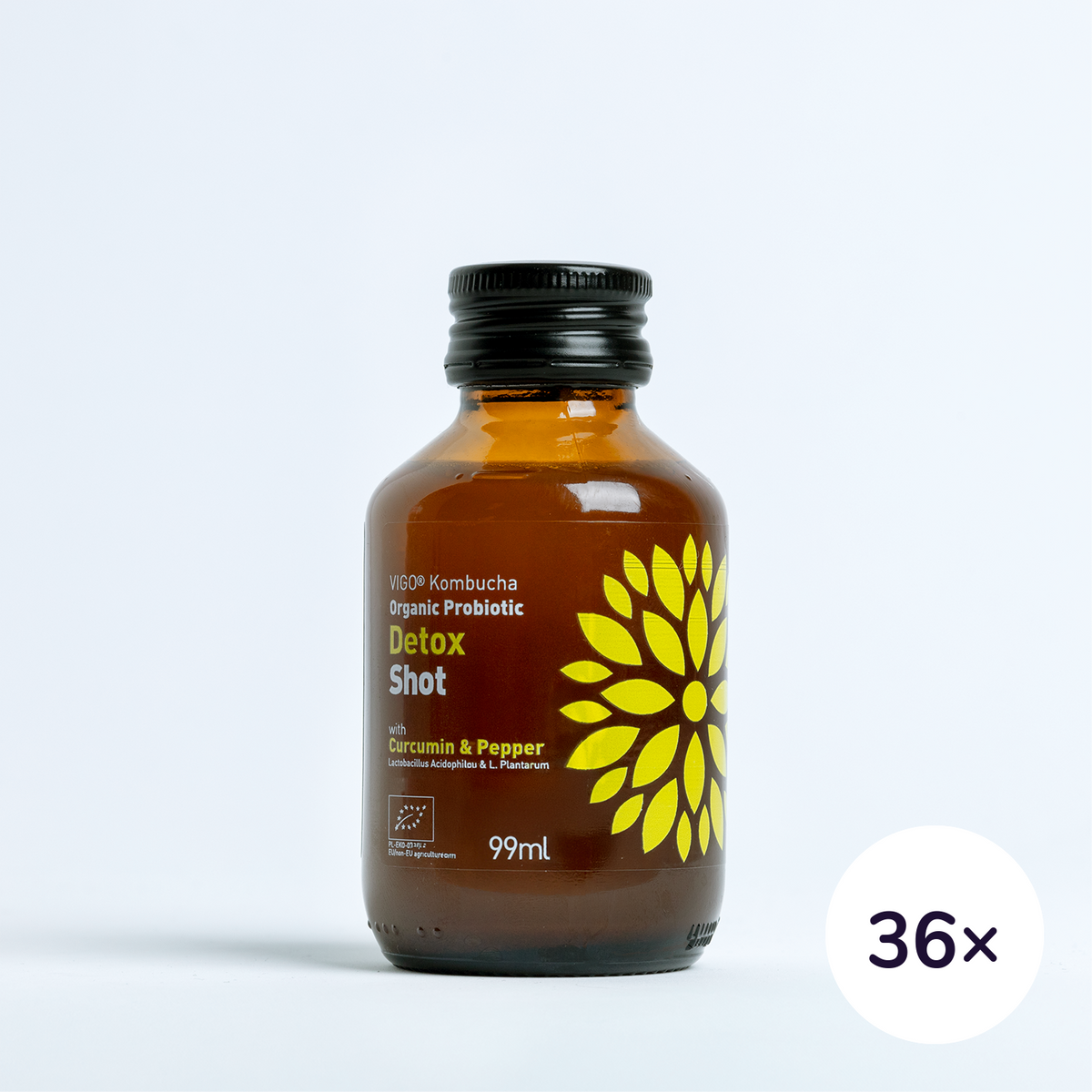 VIGO BIO Kombucha Shot Balance