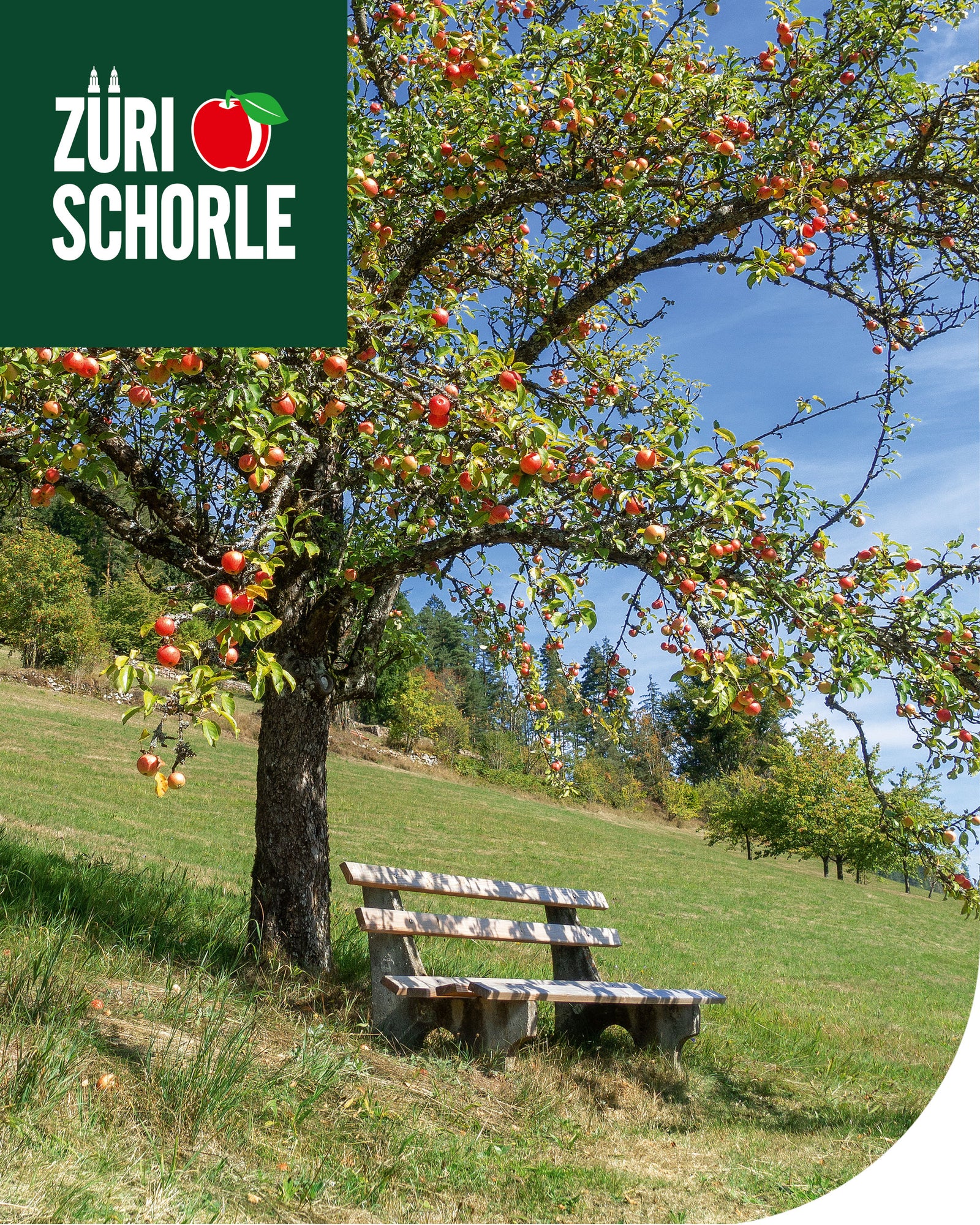 Markenbanner Züri Schorle Bio Knospe Mobile
